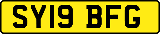 SY19BFG