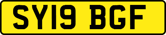 SY19BGF