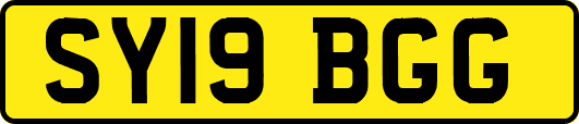 SY19BGG
