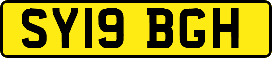 SY19BGH