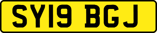 SY19BGJ