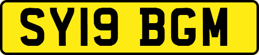 SY19BGM