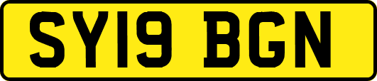 SY19BGN