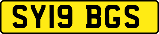 SY19BGS