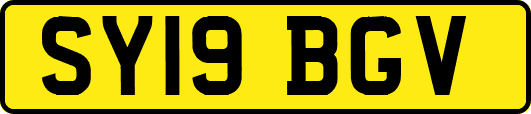 SY19BGV