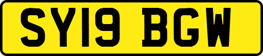 SY19BGW