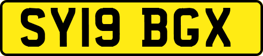 SY19BGX