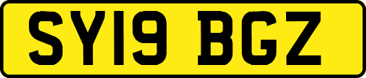 SY19BGZ