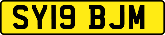 SY19BJM