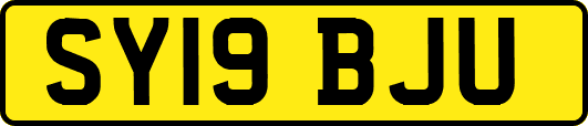 SY19BJU