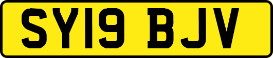 SY19BJV