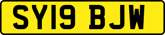SY19BJW