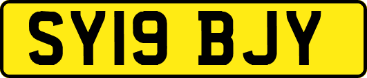 SY19BJY