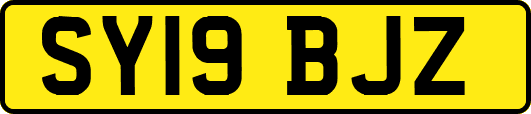 SY19BJZ