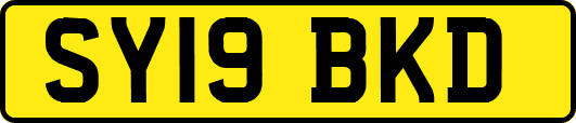 SY19BKD