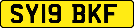 SY19BKF