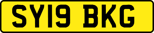 SY19BKG