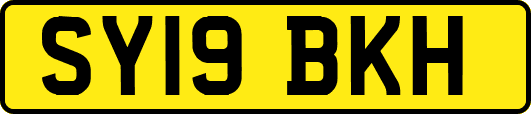 SY19BKH