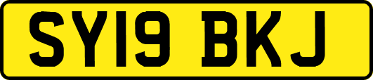 SY19BKJ