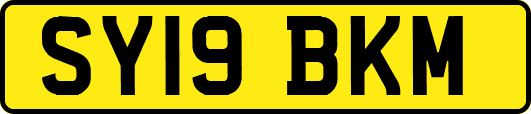 SY19BKM