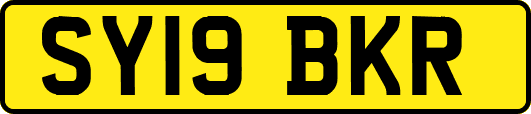 SY19BKR