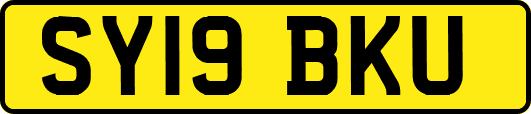 SY19BKU