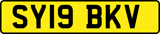 SY19BKV