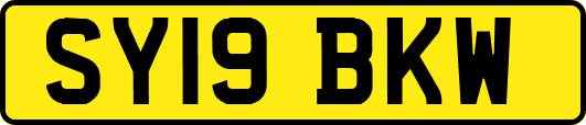 SY19BKW