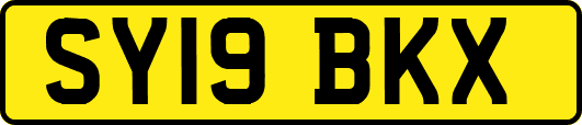 SY19BKX