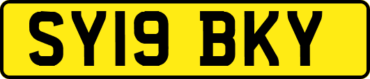 SY19BKY