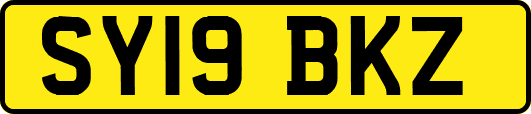 SY19BKZ