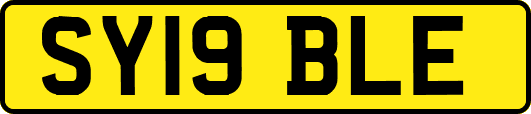 SY19BLE