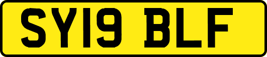 SY19BLF