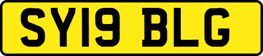SY19BLG