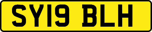 SY19BLH