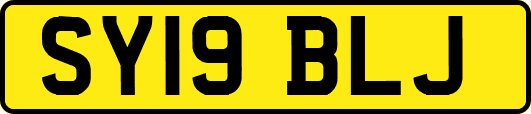 SY19BLJ