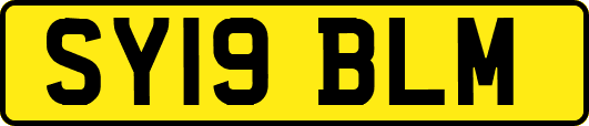 SY19BLM