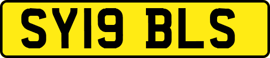 SY19BLS
