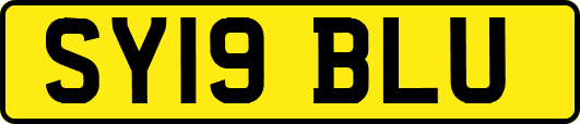 SY19BLU