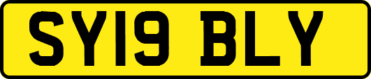 SY19BLY