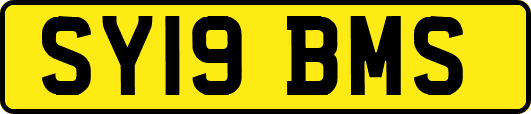 SY19BMS