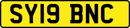 SY19BNC