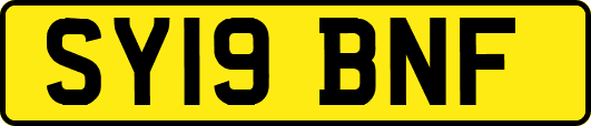 SY19BNF