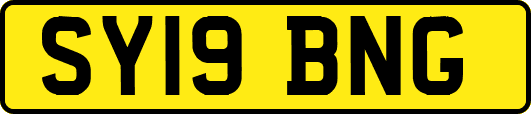 SY19BNG
