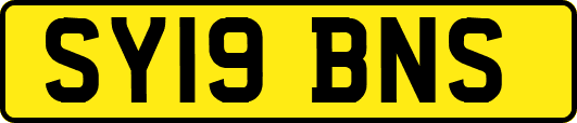 SY19BNS