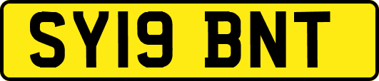 SY19BNT