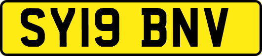 SY19BNV