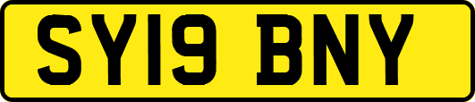 SY19BNY