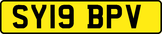 SY19BPV