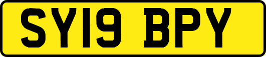 SY19BPY